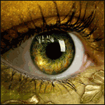 Selgeor